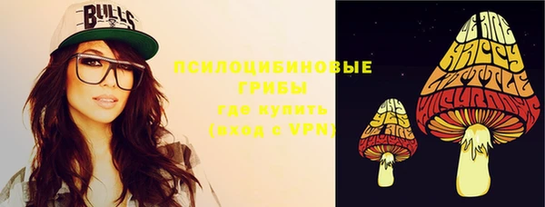 первитин Ладушкин