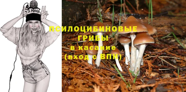 альфа пвп Лагань