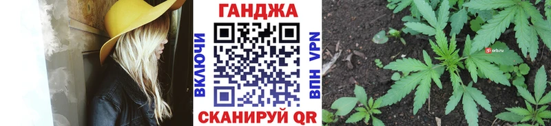 где купить   Почеп  Каннабис гибрид 